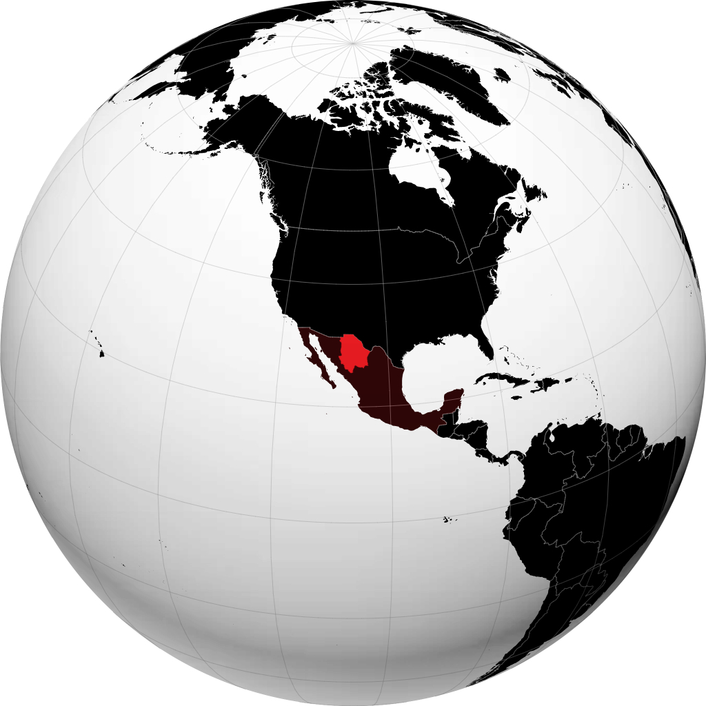 Chihuahua kwenye globu